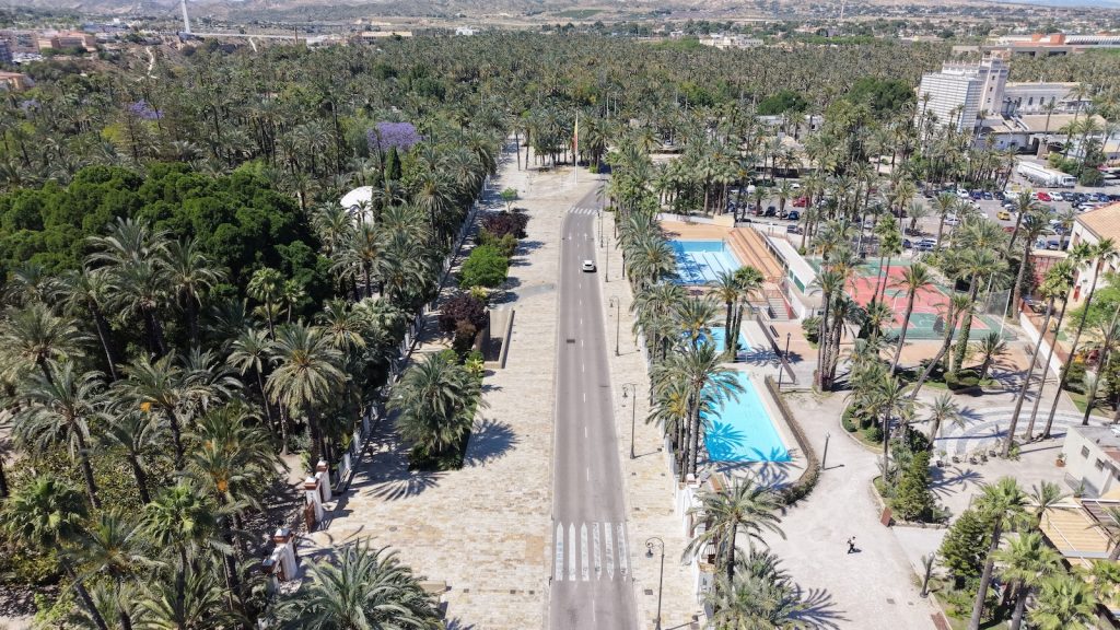 Foto elche palmove zahrady